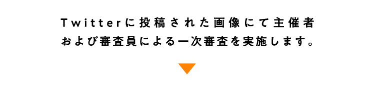 Twitterに投稿された画像にて主催社および審査員による一次審査を実施します。