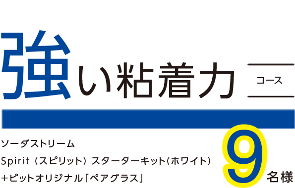 強い粘着力コース 9名様