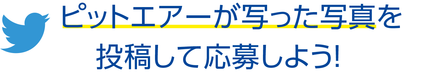 ピットエアーが写った写真を投稿して応募しよう！