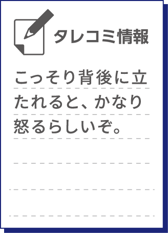 こっそり背後に立たれると、かなり怒るらしいぞ。