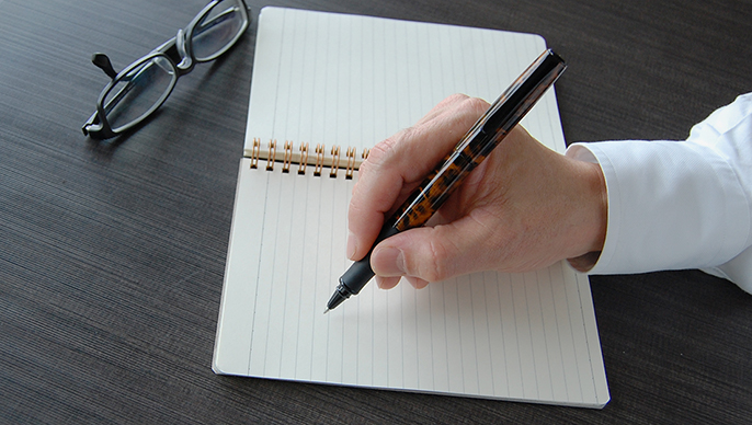 Tombow Zoom 505 havana