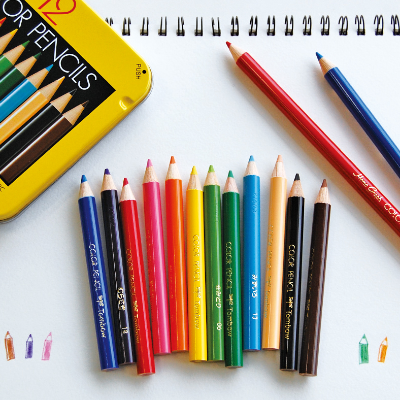 良品まとめ売り ds-2238242 (まとめ) TANOSEE 色鉛筆 6色（各色1本） 1セット 【×30セット】 (ds2238242)  幼児教育、教材