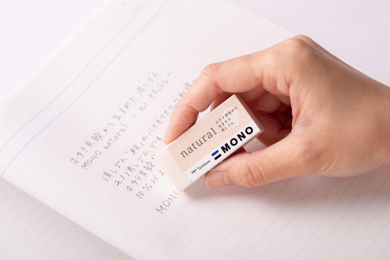 ShellColored Eraser that Erases Easily. Made using Scallop Shells.MONO