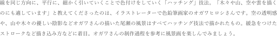 線を同じ方向に、平行に、細かく引いていくことで色付けをしていく「ハッチング」技法。「木々や山、空や雲を描くのにも適しています」と教えてくださったのは、イラストレーターで色鉛筆画家のオガワヒロシさんです。空の透明感や、山や木々の優しい陰影などオガワさんの描いた尾瀬の風景はすべてハッチング技法で描かれたもの。緩急をつけたストロークなど描き込み方などに着目。オガワさんの制作過程を参考に風景画を楽しんでみましょう。 