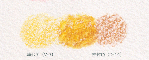 蒲公英（V-3）×枯竹色 （D-14）
