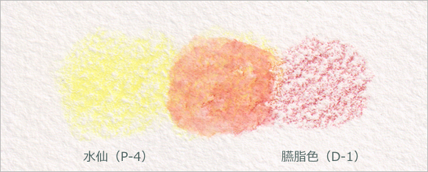 水仙（P-4）×臙脂色（D-1）