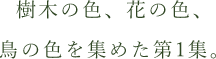 樹木の色、花の色、鳥の色を集めた第1集。