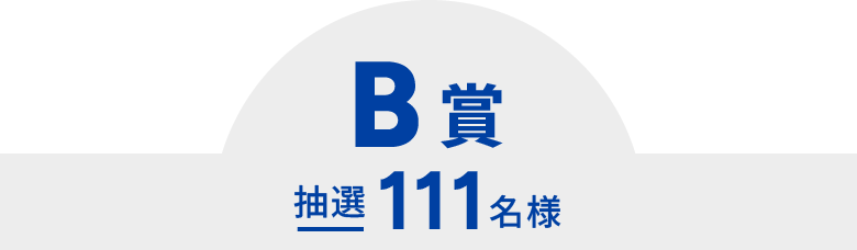 B賞　抽選111名様